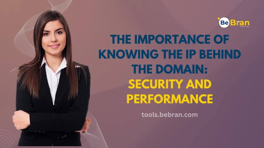 The Importance of Knowing the IP Behind the Domain: Security and Performance