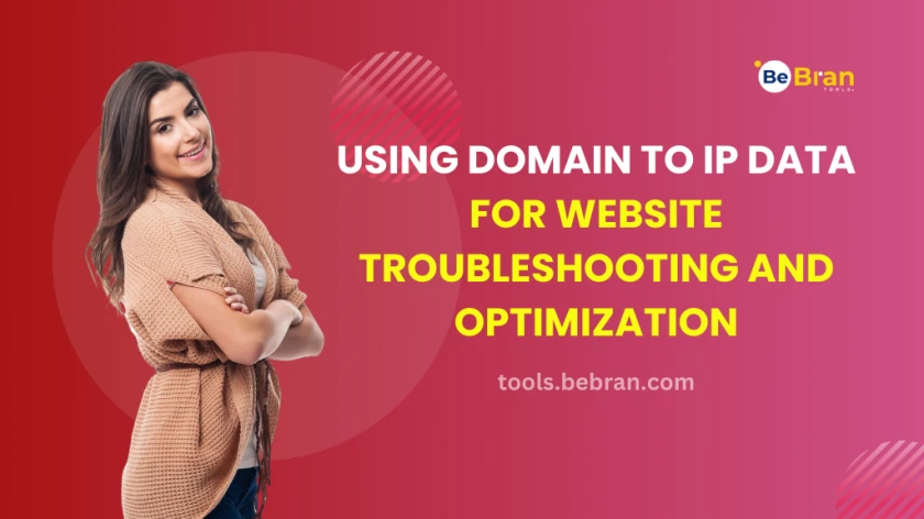 Using Domain to IP Data for Website Troubleshooting and Optimization