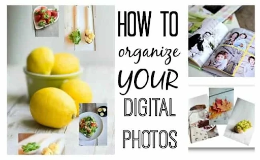 The Ultimate Guide to Tags Tools: Organizing Your Digital World