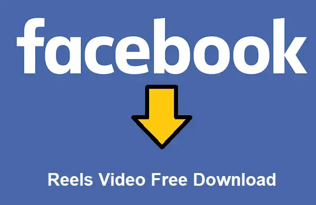 Effortless FB Reels Video Download Top Online Tools and Techniques