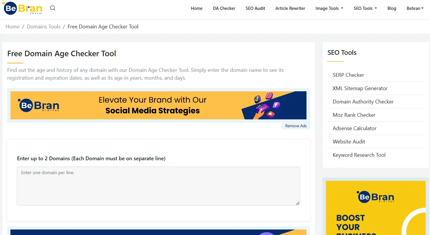Importance of Domain Age Insights from Free Checker Tools