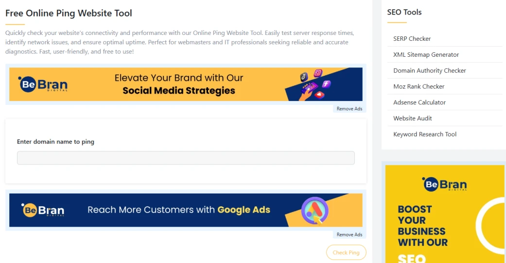 Online Ping Website Tool1