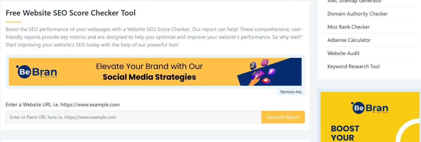 SEO Score Checker Tools3